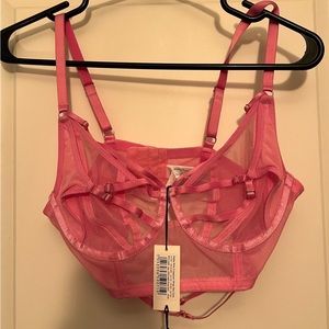 Dollskill brand new w tags bra top